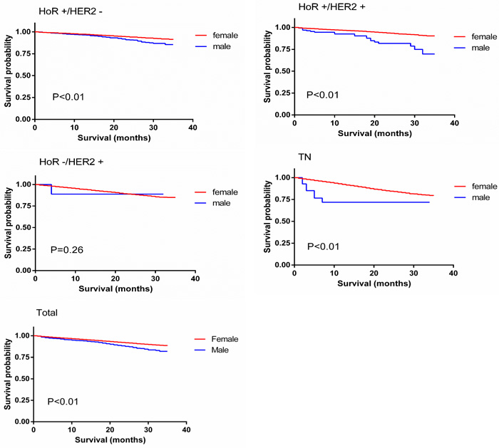 Overall survival curves of male matched with female breast cancer patients.