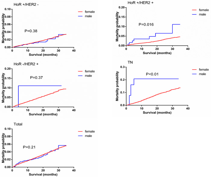 Breast-cancer-specific mortality curves of male matched with female breast cancer patients.