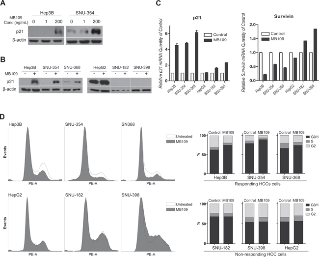 MB109 induces p21 expression, survivin suppression, and G0/G1 cell cycle arrest in HCC cells.