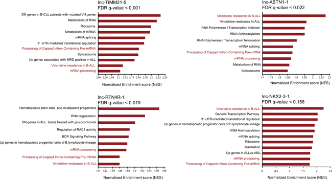 Attributing functional annotation to ETV6/RUNX1 specific lncRNAs through guilt-by-association analysis.