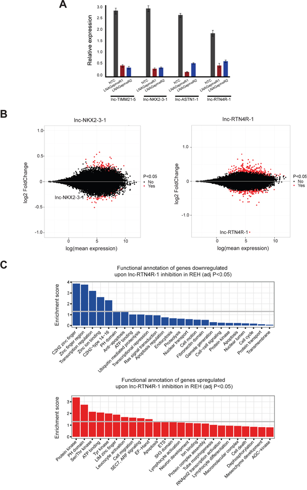 Transcriptional consequences of lncRNA modulation in the context of ETV6/RUNX1 rearranged leukemia cases.