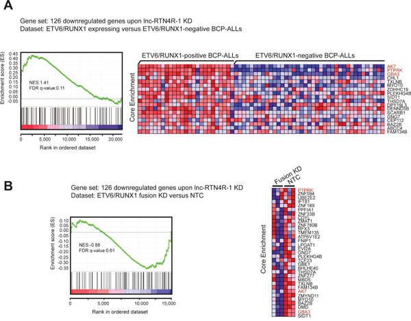 Integration of transcriptional consequences of lncRTN4R-1 modulation with ETV6/RUNX1 specific mRNA signatures in primary B-ALLs and REH cells.