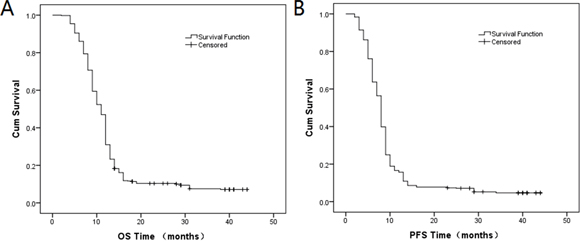 Kaplan-Meier curves of A. OS and B. PFS.