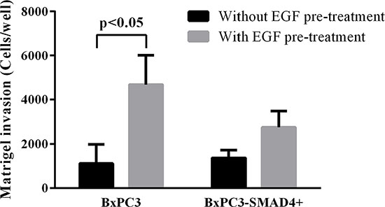 Matrigel invasion obtained from unstimulated and from EGF chronically stimulated pancreatic cancer cells expressing (BxPC3-SMAD4+) or not (BxPC3) SMAD4.