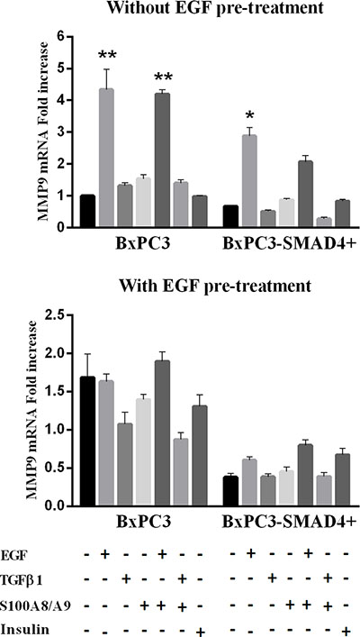 Matrix metalloproteinase 9 (MMP9) mRNA relative expression obtained from pancreatic cancer cells expressing (BxPC3-SMAD4+) or not (BxPC3) SMAD4 and subjected to insulin, EGF, TGF&#x03B2;1 and S100A8/A9 stimulation in the absence or in the presence of chronic EGF exposure.