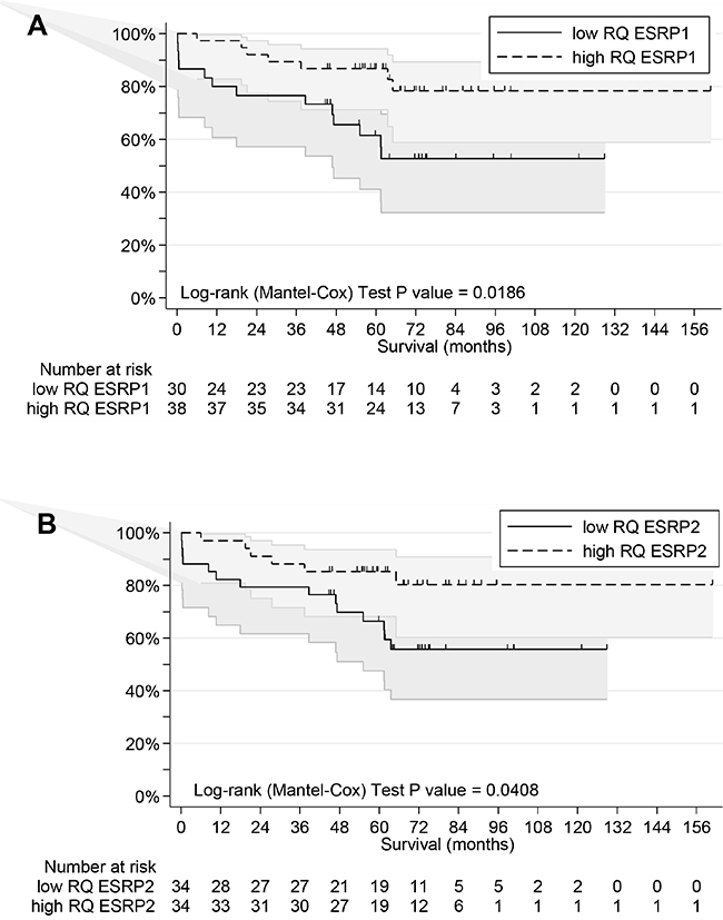 Overall survival analyses of CRC patients.