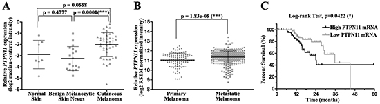 SHP2 shows clinical significance in melanoma.