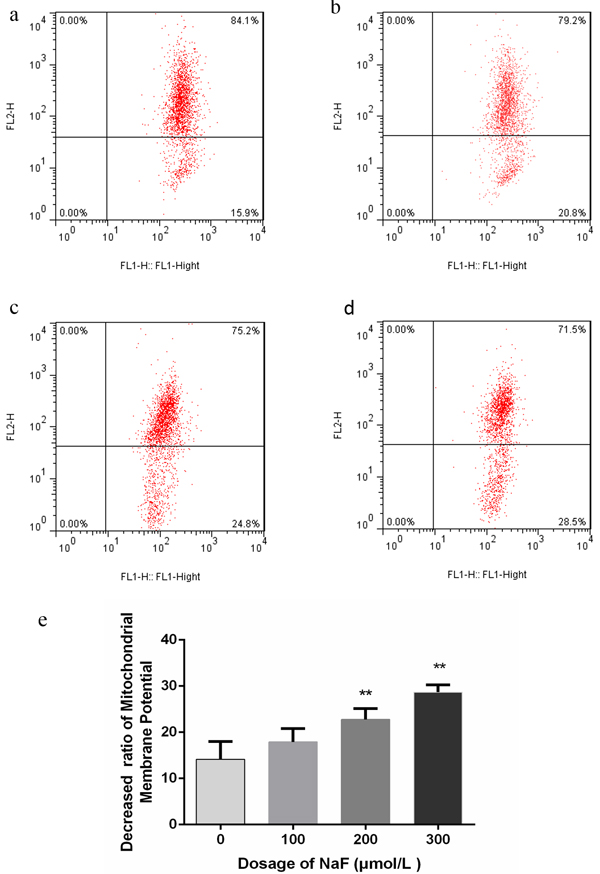 Figure 4: