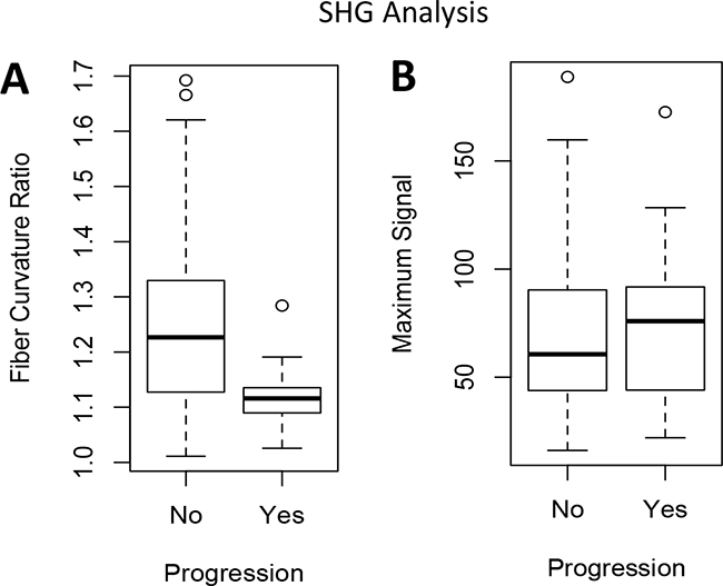SHG imaging quantification comparing patients with progression to muscle-invasive disease versus those with no progression.