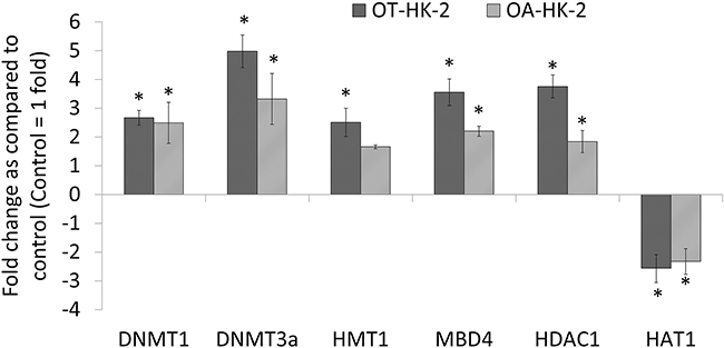 Histogram showing expression of epigenetic regulatory genes in HK-2 cells exposed to chronic oxidative stress.