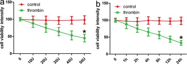 CCK-8 assays identifies that thrombin induces ICH cell models.