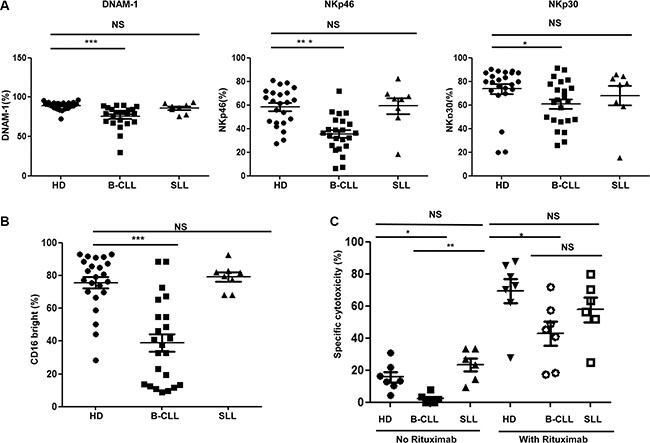 Expression of DNAM-1, natural cytotoxicity receptors and CD16 are also reduced on NK cells from patients with B-CLL.
