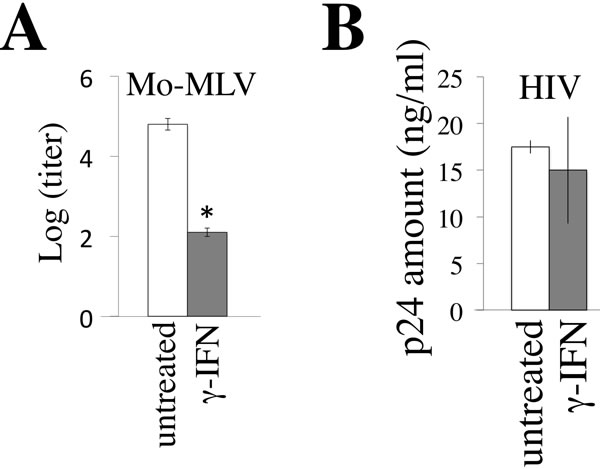 &#x3b3;-IFN restricts MLV replication but not HIV-1 replication.