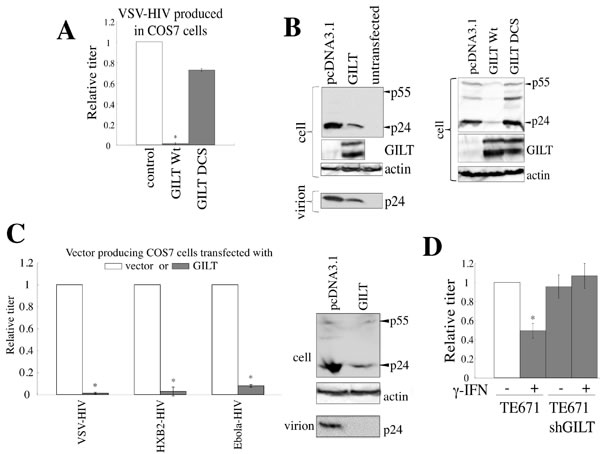 GILT inhibits HIV-1 virion production.