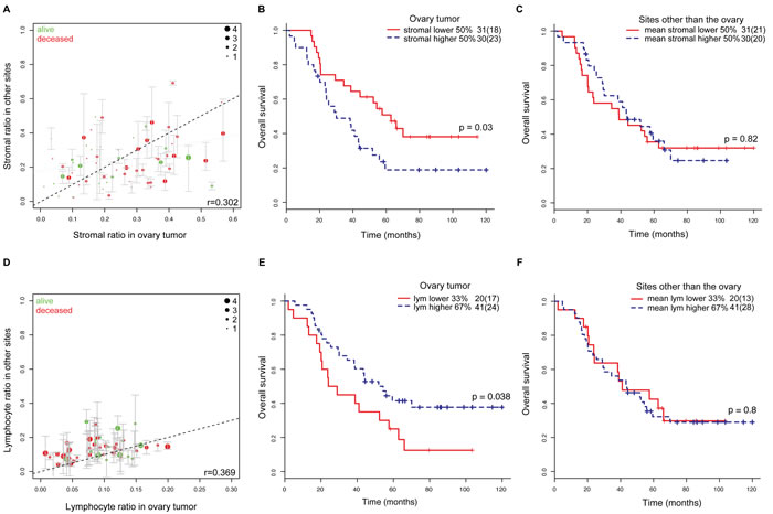 Comparison of tumor microenvironments in multiple ovarian metastases.