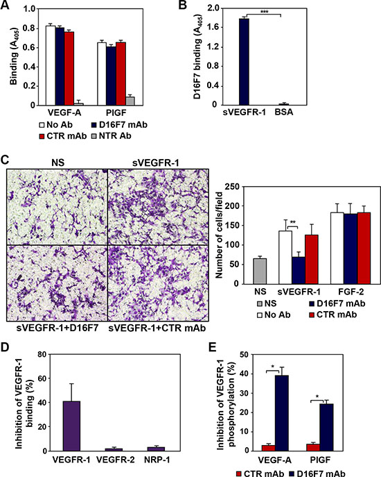 Mechanism of action of anti-VEGFR-1 D16F7 mAb.