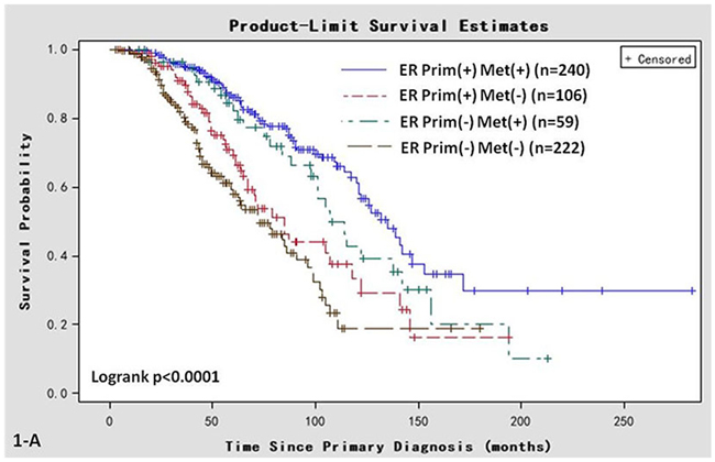 Kaplan-Meier survival curves in women of various ER status subtypes.