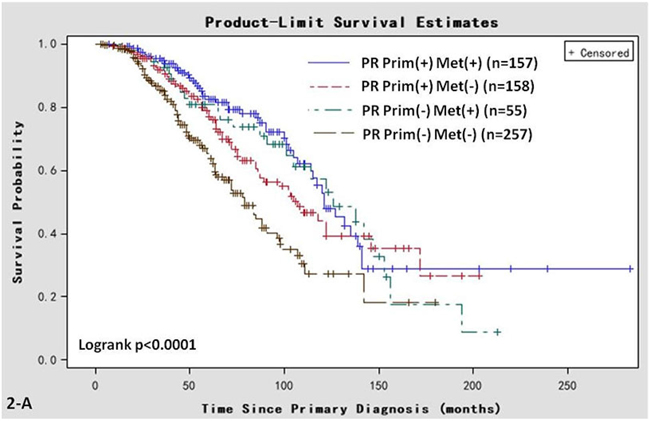 Kaplan-Meier survival curves in women of various PR status subtypes.