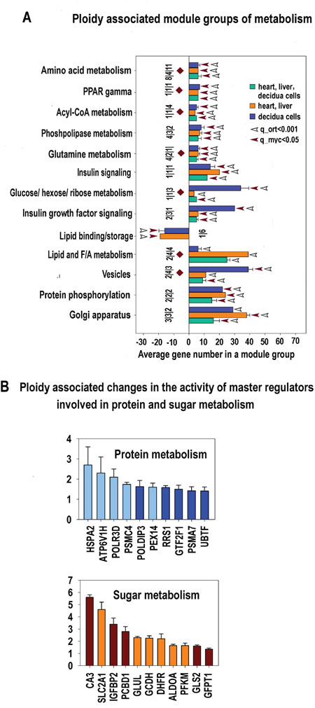 Figure 9: