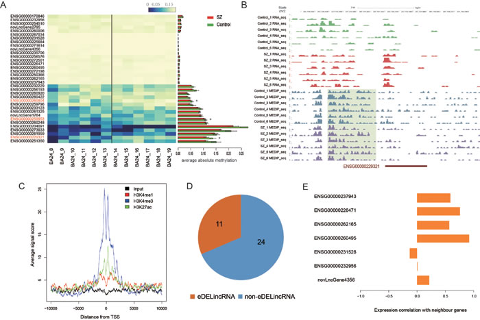 Epigenetic analysis of DELincRNAs in BA24.