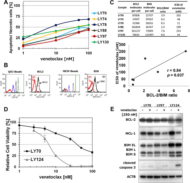Venetoclax induces proliferation inhibition and apoptosis in t(14;18) positive cells.