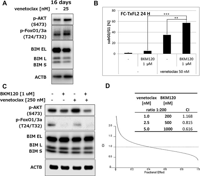 AKT pathway inhibition potentiates venetoclax induced apoptosis and proliferation inhibition.