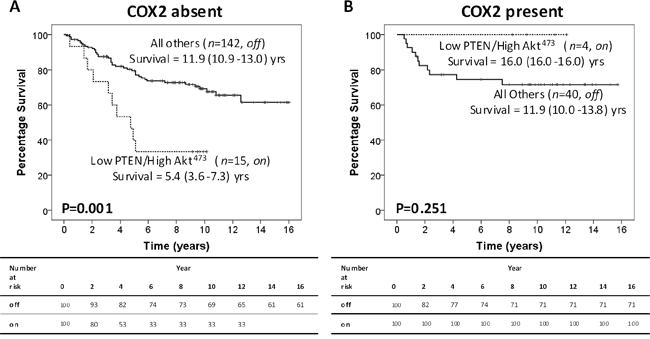 Peri-nuclear COX-2 stratifies CRC patients with an active intra-tumour PTEN/Akt pathway.