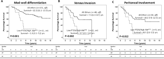 Intra-tumour activation of the PTEN/Akt/COX-2 pathway modulates CRC progression and invasive capacity.