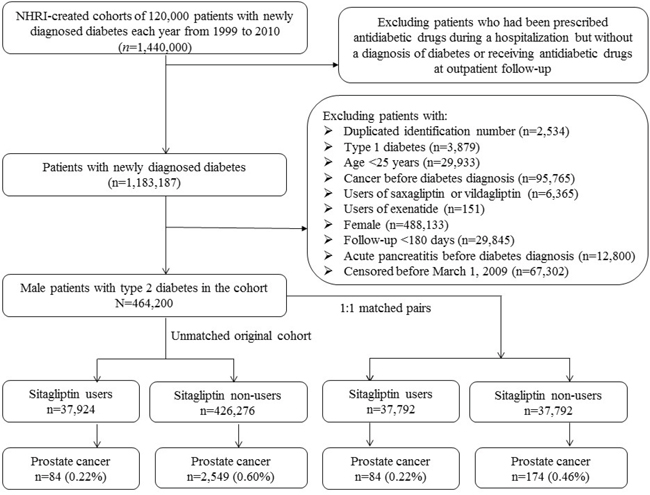 Flowchart showing the procedures followed in creating the unmatched original cohort of male patients with type 2 diabetes mellitus and the 1:1 matched pairs used in the study.