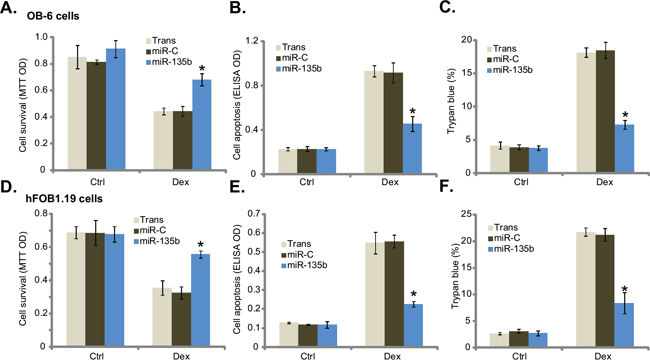 Forced expression of microRNA-135b protects osteoblastic cells from Dex.