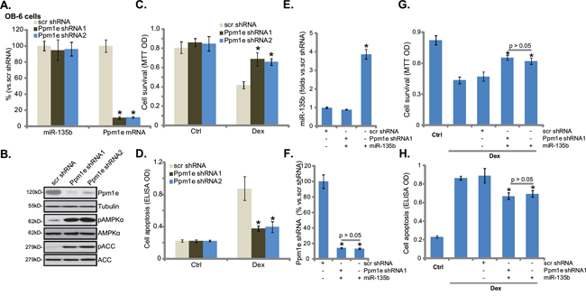 shRNA knockdown of Ppm1e activates AMPK and protects osteoblastic cells from Dex.