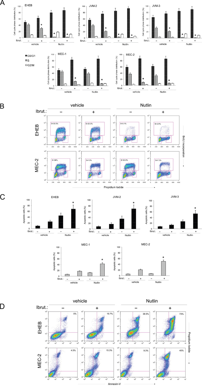 Effects of Ibrutinib/Nutlin-3 combination on cell cycle and apoptosis in B leukemic cell lines.