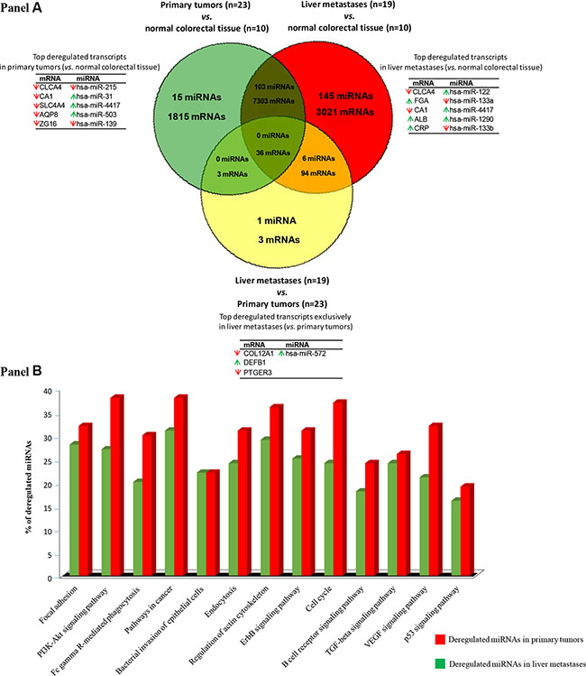 Gene expression profiles (GEP) of primary vs. metastatic colorectal cancer.