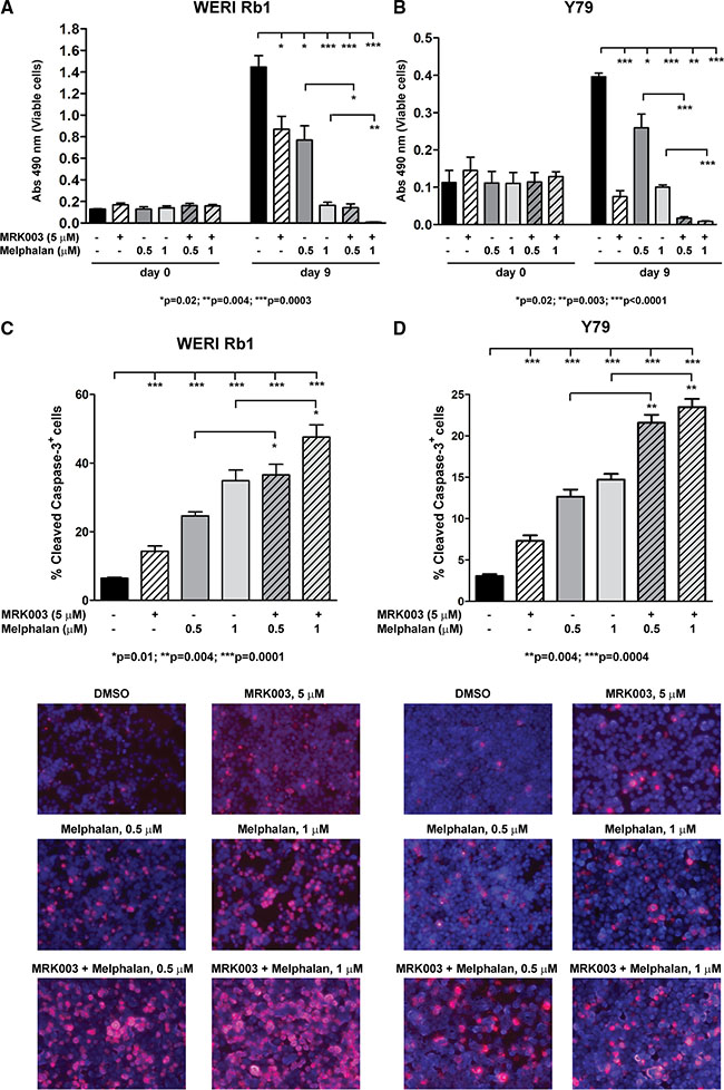 MRK003 enhances the growth inhibitory and pro-apoptotic effects of Melphalan in retinoblastoma cells.