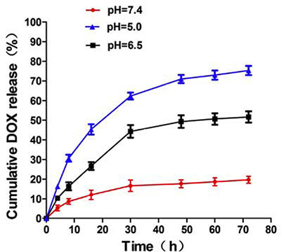 pH-dependent release of DOX molecules from MSN/COOH/TAT-FITC/Cit/YSA-BHQ1.