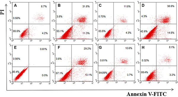 Flow cytometry analysis for apoptosis of MCF-7 (A&#x2013;D) and HEK293 cells (E&#x2013;H) induced by MSN/COOH/TAT-FITC/Cit/YSA-BHQ1, free DOX, MSN/COOH/DOX, or MSN/COOH/TAT-FITC/Cit/YSA-BHQ1/DOX for 24 h, respectively.