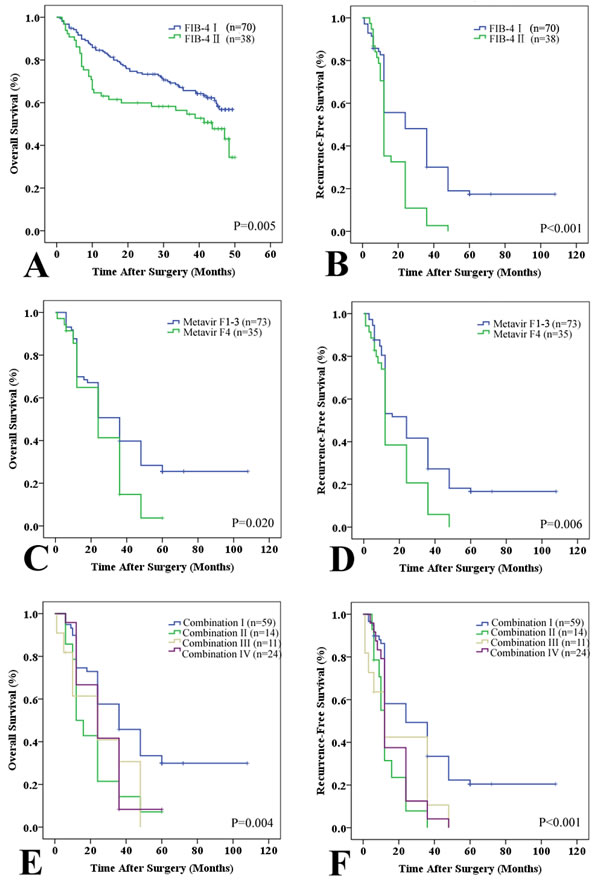 Prognostic value of the FIB-4 and Metavir scores in the testing set.