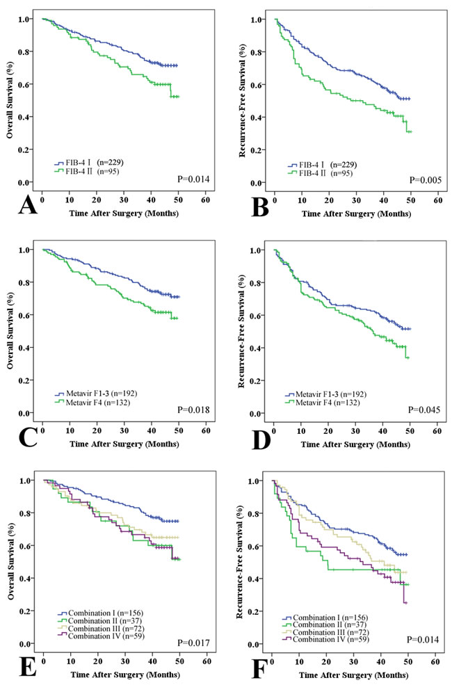 Prognostic value of the FIB-4 and Metavir scores in the validation set.
