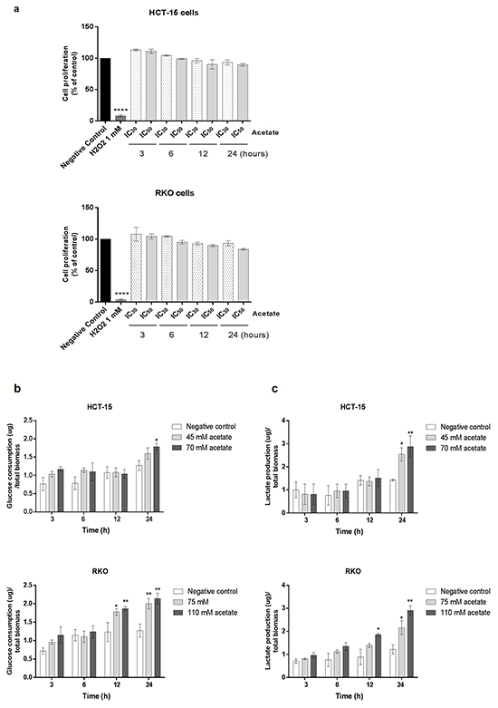 Acetate induces metabolic changes in CRC cells.