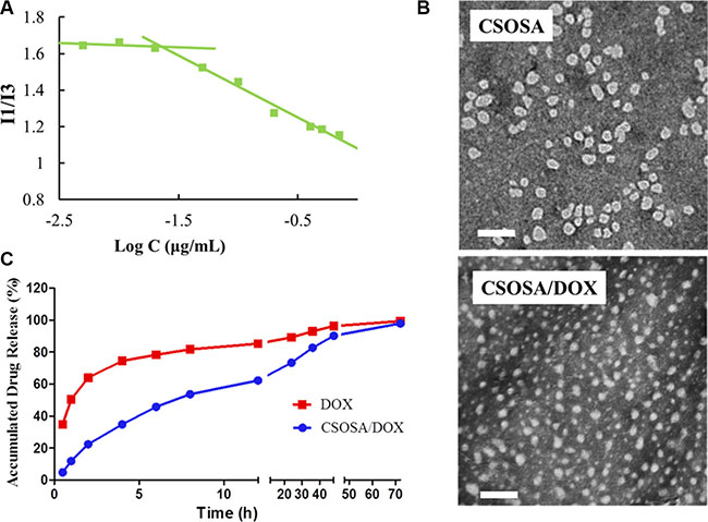 Characteristics of CSOSA and CSOSA/DOX micelles.