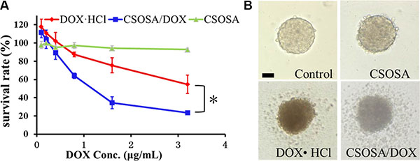 Cytotoxicity of CSOSA/DOX against mammospheres.