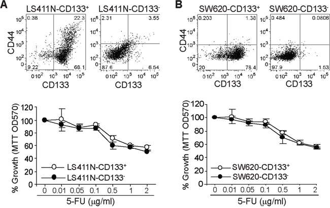 CD133+ colon cancer cells and 5-FU sensitivity.