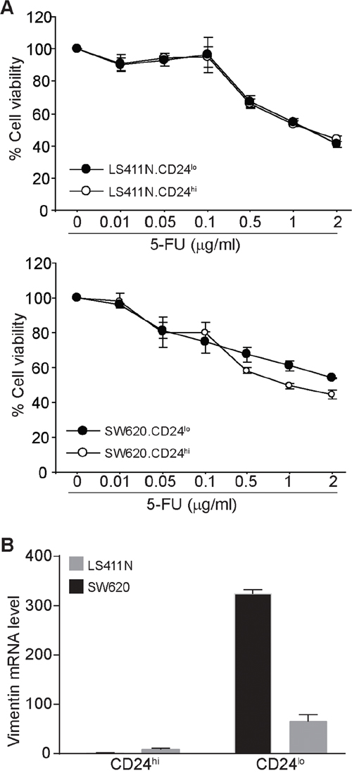 CD24lo human colon carcinoma cells exhibit less sensitivity to 5-FU and a mesenchymal phenotype.