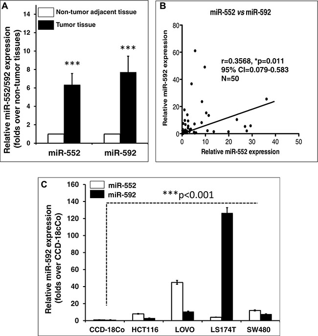 Aberrant miR-552 and miR-592 transcripts in colorectal cancer tissues and cell lines.