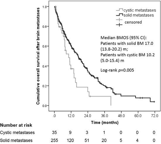 Cumulative overall survival (OS) after diagnosis of cystic versus solid brain metastases.