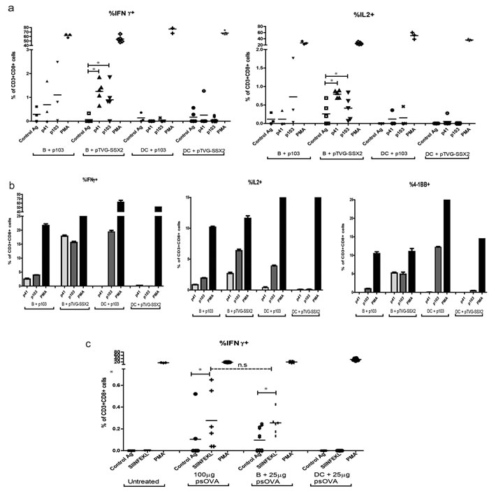 Plasmid treated mouse B cells, and not dendritic cells, are able to prime an antigen-specific CD8 T cell response