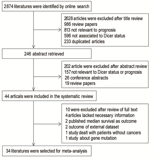 Flow chart of publication selection.