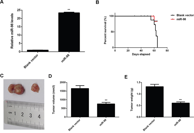 Figure 10: