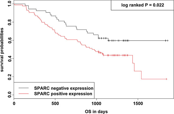 KM survival curve and log-rank test for patients classified as showing either positive or negative SPARC expression in GC.