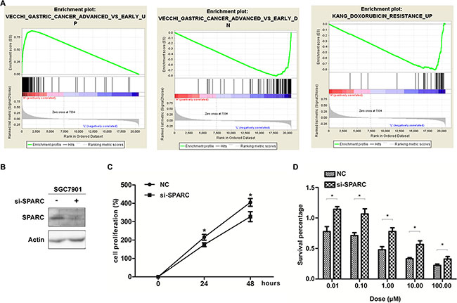 SPARC expression and GC proliferation as well as drug sensitivity properties.